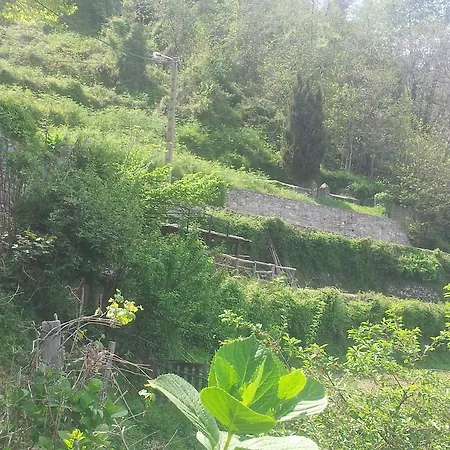 Сasa de vacaciones La Fontaine Corse Vue Panoramique *
