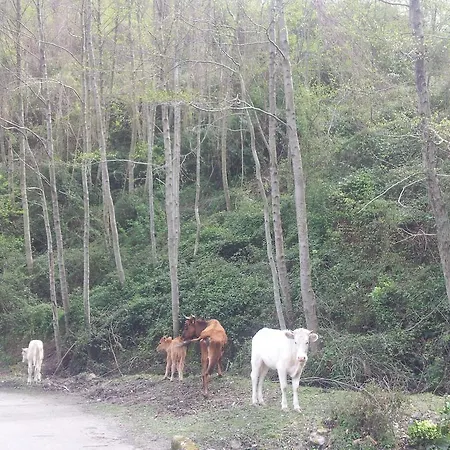 Semesterbostad La Fontaine Corse Vue Panoramique *